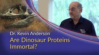 Dr. Kevin Anderson - Are Dinosaur Proteins Immortal?