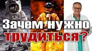 Зачем нужно трудиться?