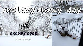 ONE LAZY SNOWY DAY/GRUMPY COOK ENA/ASMR