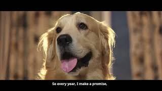 A dog gives his perspective on New Year’s resolutions in Supertails’