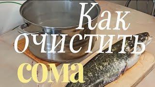 Как очистить сома