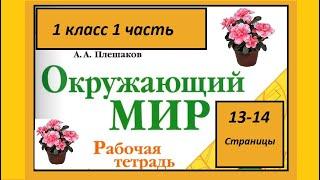 Окружающий мир 1 класс Что растет на подоконнике? страница 13-14.