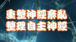 音乐重整神经紊乱〜整理自主神经系统受心理压力干扰〜【失眠、头晕、烦躁耳鸣、焦虑、恐惧】