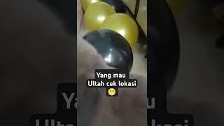 Chloe kucing gemoy on came #catlovers #kucinglucuiimut #kucinglucu