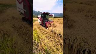 harvester machine Japan #shorts #yanmar #harvester