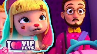  ULTRA-COLLEZIONE  VIP PETS  EPISODI COMPLETI  CARTONI ANIMATI per BAMBINI in ITALIANO 