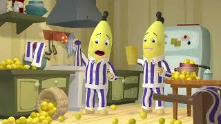 Smelly Sponge Lemonade! | Bananas in Pyjamas Season 2 | Full Episodes | Bananas In Pyjamas