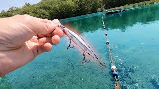 Rapala Shadow Rap Jerkbait