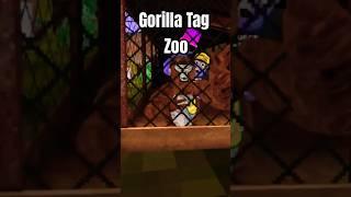 Gorilla Tag Zoo #gorillatag #vr #gtag #bmoreinlife #zoo #shortsfeed #shortsvideo #funny #update