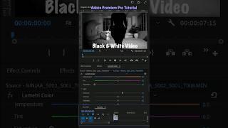 Make Black & White Music Videos (2 Techniques) | Adobe Premiere Pro Short Tutorial