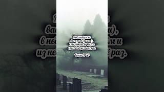 #аллах #пророк #ислам #вера #бог #религия #мусульмане #христос #сунна #аят #аяты #хадисы #хадис