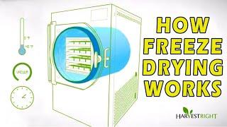 How Freeze Drying Works