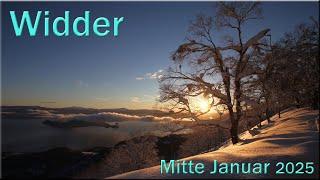  Widder - Mitte Januar 2025   -  Zu weit gegangen  -