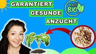 𝟭𝟰  bekämpfen -  Tomaten aussäen 2023 mit Trichoderma harzianum und Bacillus subtilis