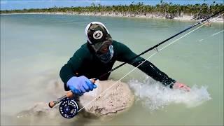 Fly Fishing for Jack Crevalle  in Small Channels of Ascension Bay