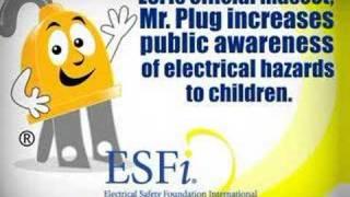 The Electrical Safety Foundation International (ESFI)