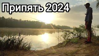 Рыбалка на Припяти 2024 | Сом Ликует #припять #рыбалка #fishing