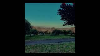 7:30 P.M (INTRO) [VISUAL]