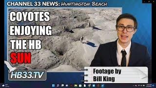 News of the Week Huntington Beach!