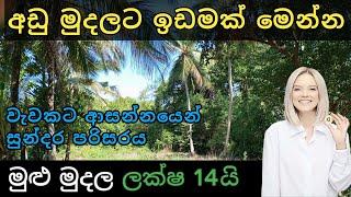 සුන්දර පරිසරයක අඩුවට ඉඩමක් | Land for sale | Land sale sri lanka  | Ikman selling | 2025