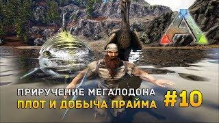 ARK RAGNAROK #10 - Приручение Мегалодона. Плот и добыча Прайма