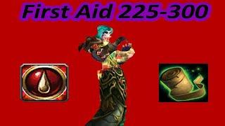 Classic WoW First Aid Artisan 225-300 Triage Quest