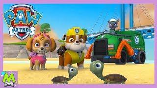 Щенячий Патруль Приключения в Игре/Paw Patrol On a Roll.Спасение Черепашек