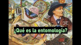 ¿QUÉ ES LA ENTOMOLOGÍA? ‍