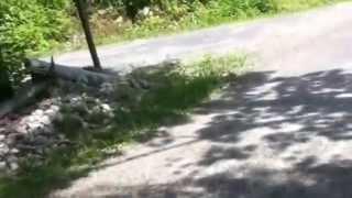 WAMtv THE HIKER