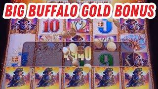 Buffalo Gold Slot Big Bonus