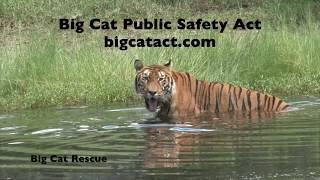 Animal Rights Awareness Week