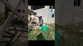 ТЕРРАСА МЕЧТЫ ВДВОЁМ С МУЖЕМ