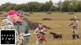 Bird dog trial - quail Sep 2021