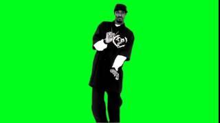 Snoop Dogg    Smoke Weed Everyday chroma key green