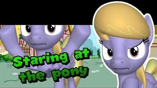 Staring at the pony (Animation)