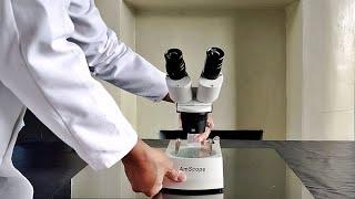 How to use a Stereoscopic Binocular Microscope