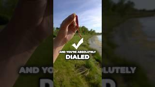 The ONLY Rig That Works for Brutal Summer Bass Fishing (Guaranteed Bites) #fishing