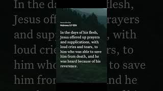 Bible Verse and Prayer: God heard Jesus prayers, and He hears our prayers.