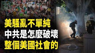 深度分析：洛杉磯騷亂不單純；中共是怎麼破壞整個美國社會的【時事解碼】