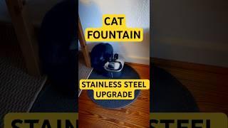 Upgrading to a Stainless Steel Cat Fountain: Worth It or Not? 
