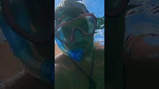 BALI - The Wonders of Amed's Coral Reef and Sea Turtles - Indonesia Travel 2023 SHORT