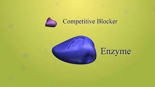 Enzyme function and inhibition with audio narration   YouTube