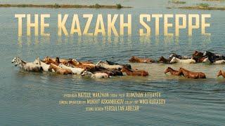 The Kazakh Steppe in 5K / Природа Казахстана 5K видео /Қазақстан табиғаты