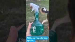  Adiós a Las PLAGAS En Tus PLANTAS! Súper INSECTICIDA Casero
