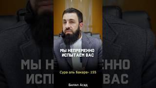 БИЛЯЛ АСАД - Сура Аль-Бакара 155 | КРАСИВОЕ ЧТЕНИЕ КОРАНА #напоминание #рамадан