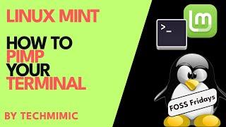 How to PIMP your TERMINAL in LINUX MINT