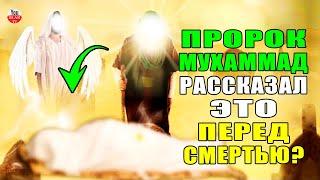 КАК УМЕР ПРОРОК МУХАММАД? ЧТО АНГЕЛ ДЖАБРАИЛ СКАЗАЛ ЕМУ ПЕРЕД СМЕРТЬЮ? АНГЕЛ СМЕРТИ ПРИШЕЛ К ПРОРОКУ