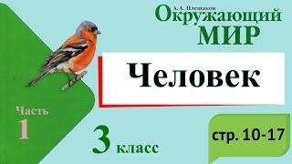 Человек. Окружающий мир. 3 класс, 1 часть. Учебник А. Плешаков стр. 10-17