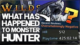 We Need to Talk About the Monster Hunter Wilds Situation...