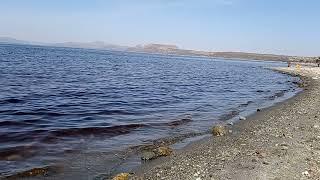 Lake shala is In South Central Oromia.  Haroo Shaalaa Kibba oromiyaatti kan argama.